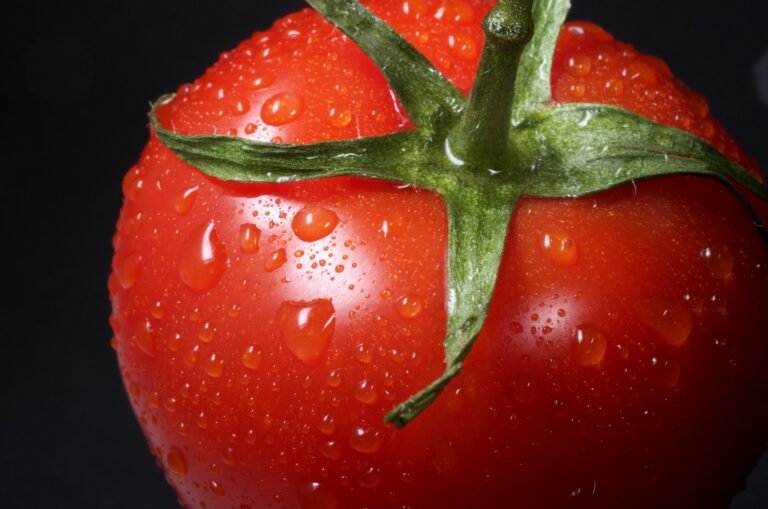 Tomat CRISPR: Inovasi “Gunting Genetik” yang Sukses Bikin Tomat Jadi Manis dan Besar