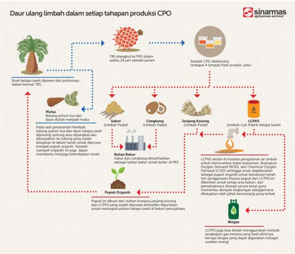Analisis carbon footprint produksi minyak kelapa sawit: Tahapan Penanaman dan Pemeliharaan