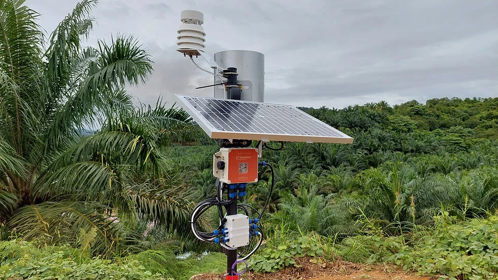 Bagaimana Sensor Iklim Bekerja di Kebun Sawit