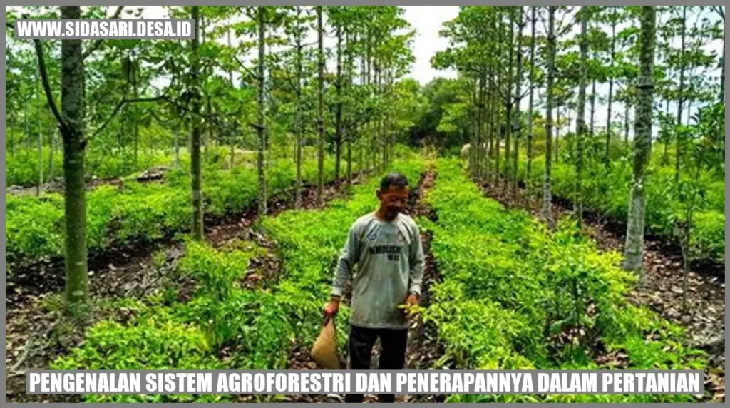 Cara mengintegrasikan tanaman pangan dan kayu dalam agroforestri: Prinsip dasar