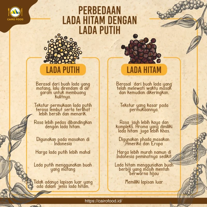Lada hitam vs lada putih dalam sejarah kuliner: Asal‑Usul dan Perkembangan Awal