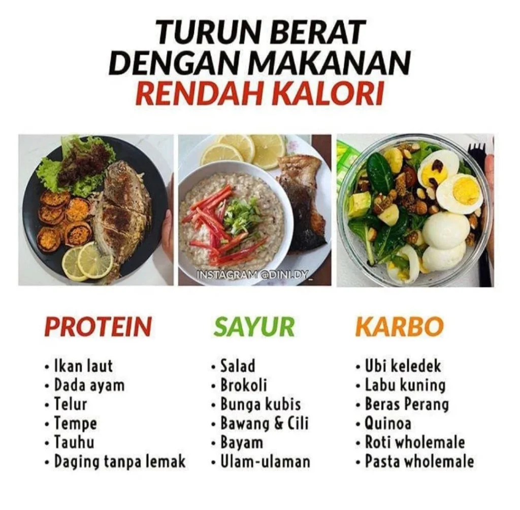 makanan bergizi rendah kalori untuk diet: definisi, manfaat, dan cara kerja