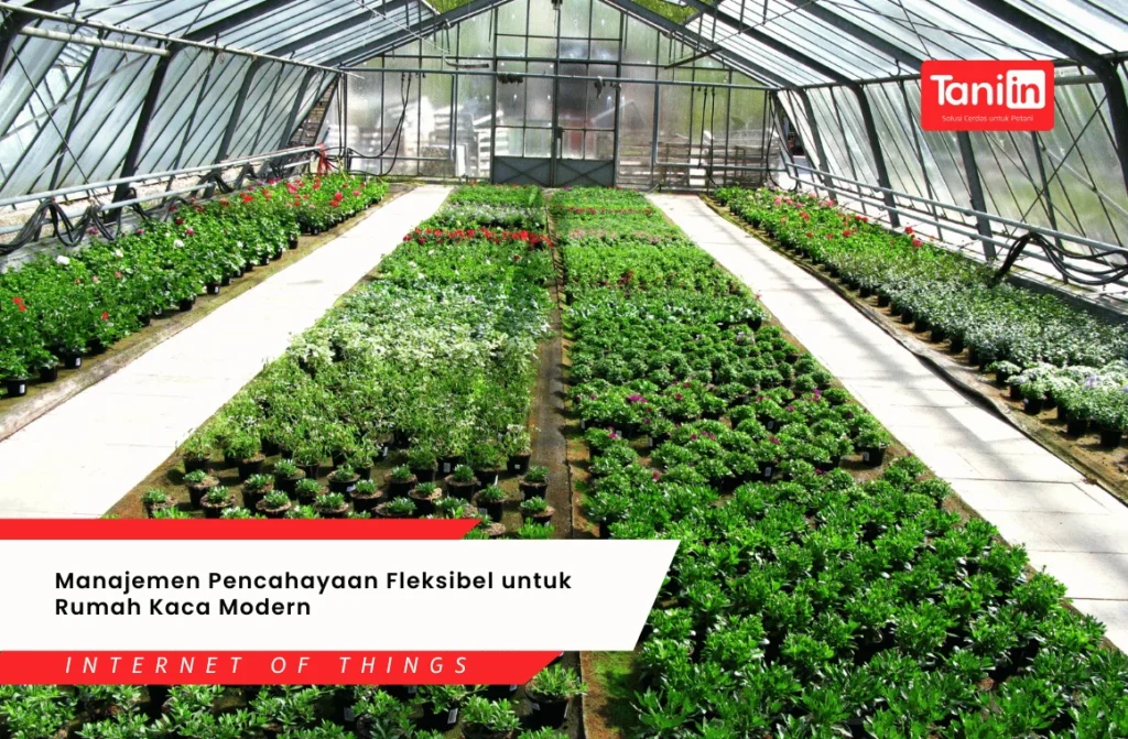 Manajemen Pencahayaan yang Cerdas