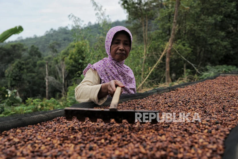 Pelatihan petani agroforestri kopi: Dasar-dasar yang Perlu Diketahui