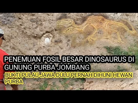 Penemuan fosil dinosaurus di Indonesia: Jejak Awal di Pulau Jawa