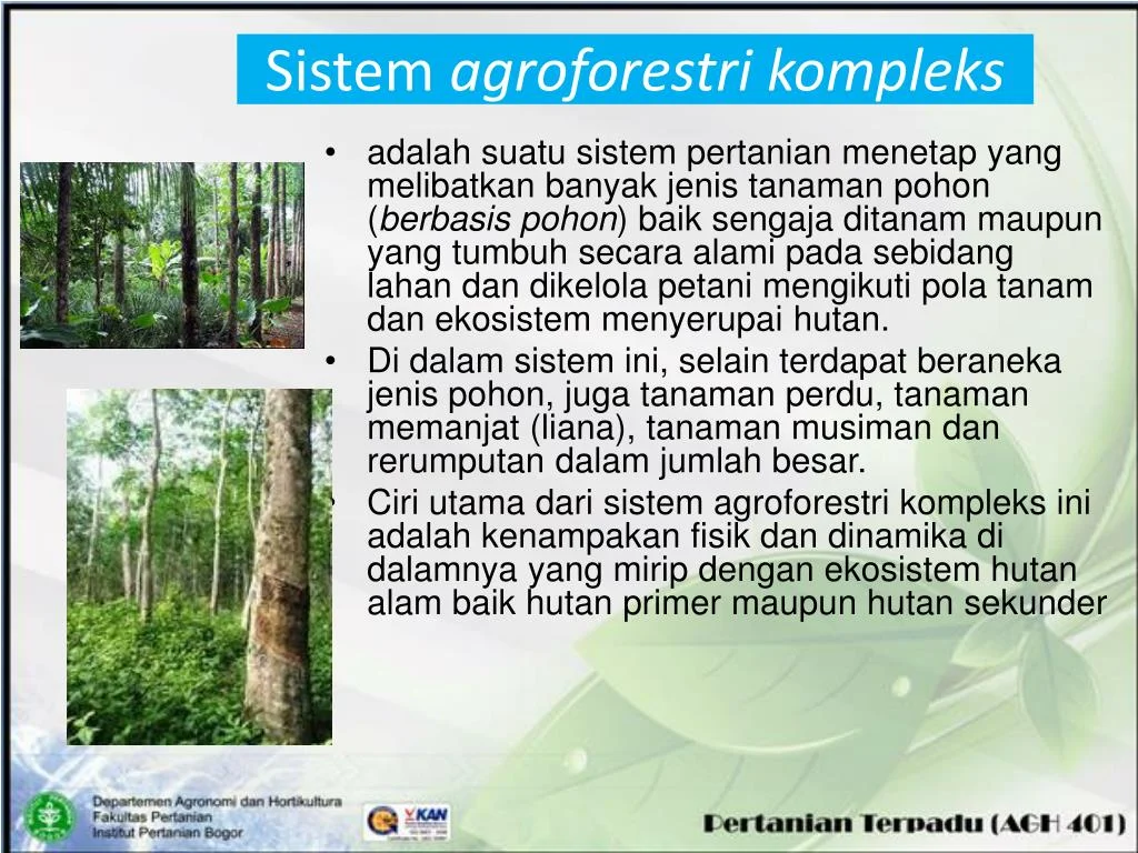 Pengaruh mikroklimat agroforestri terhadap pertumbuhan kopi: Definisi dan Komponen Utama