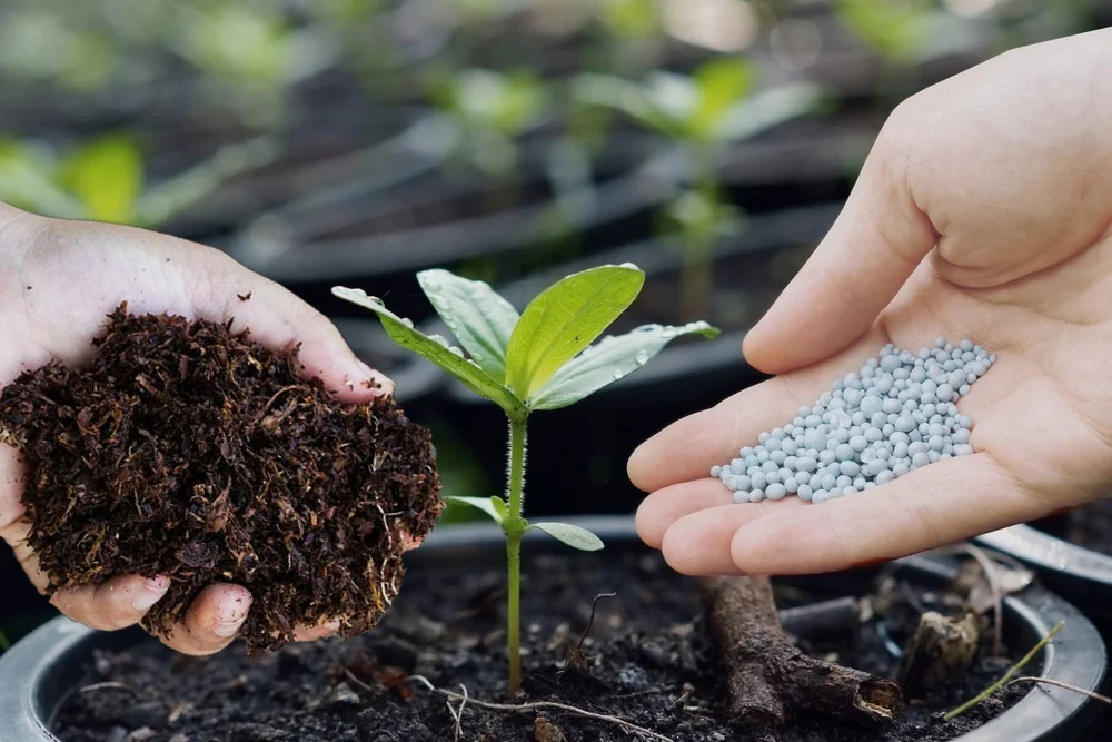 Penggunaan pupuk organik untuk meningkatkan resilien tanah: Mengapa penting?
