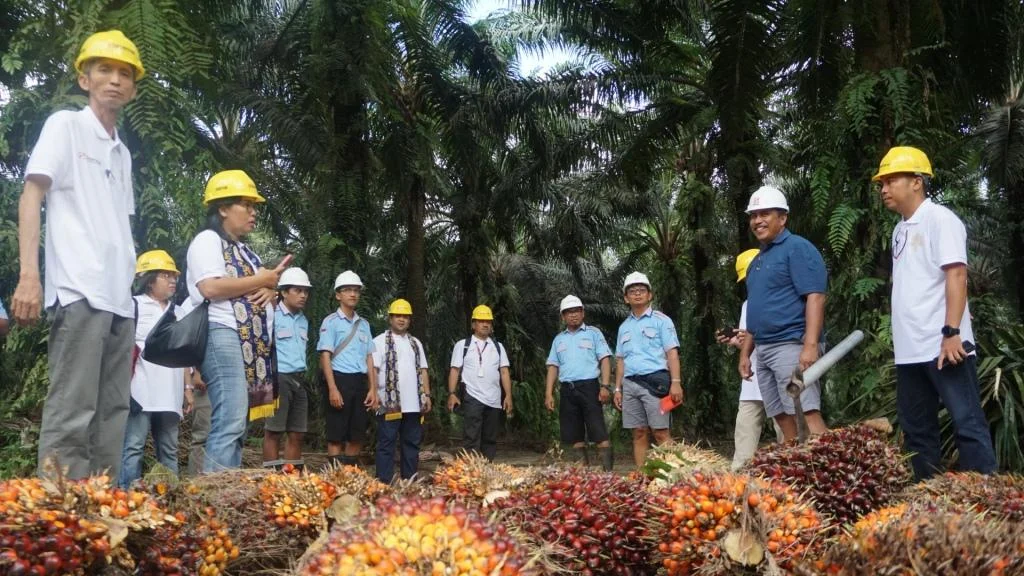 Praktik Agroekologi dalam Kebun Sawit Berkelanjutan: Panduan Lengkap