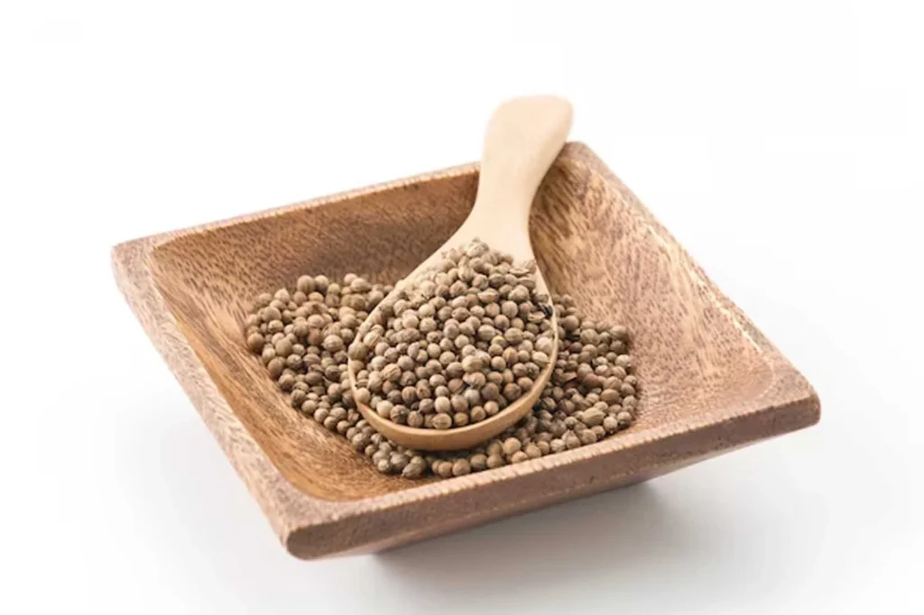 Sejarah Lada dalam tradisi obat tradisional Nusantara