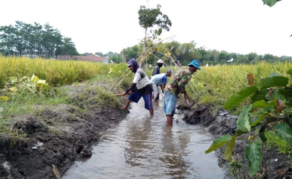 Adaptasi Petani Indonesia terhadap El Nino 2026: Teknik Irigasi Hemat Air