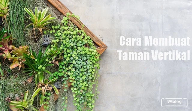 Cara Membuat Taman Vertikal