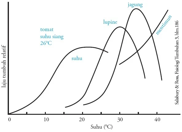 Dampak Naiknya Suhu terhadap Pertumbuhan Tanaman Buah