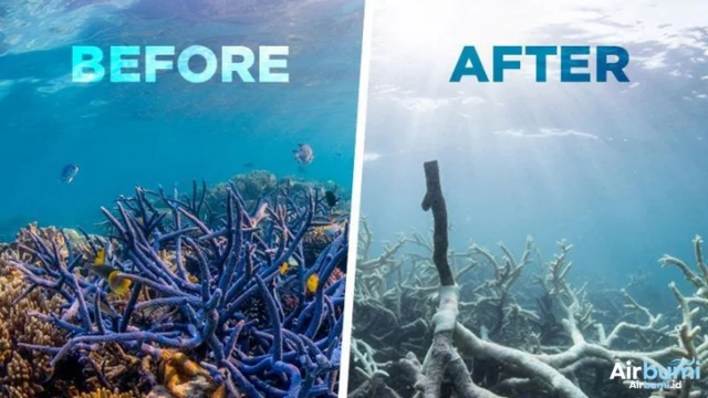 Dampak Perubahan Iklim pada Ekosistem Laut dan Hewan