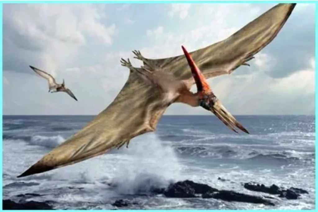 Dinosaurus Terbang: Pterosaurus dan Kriteria Mereka