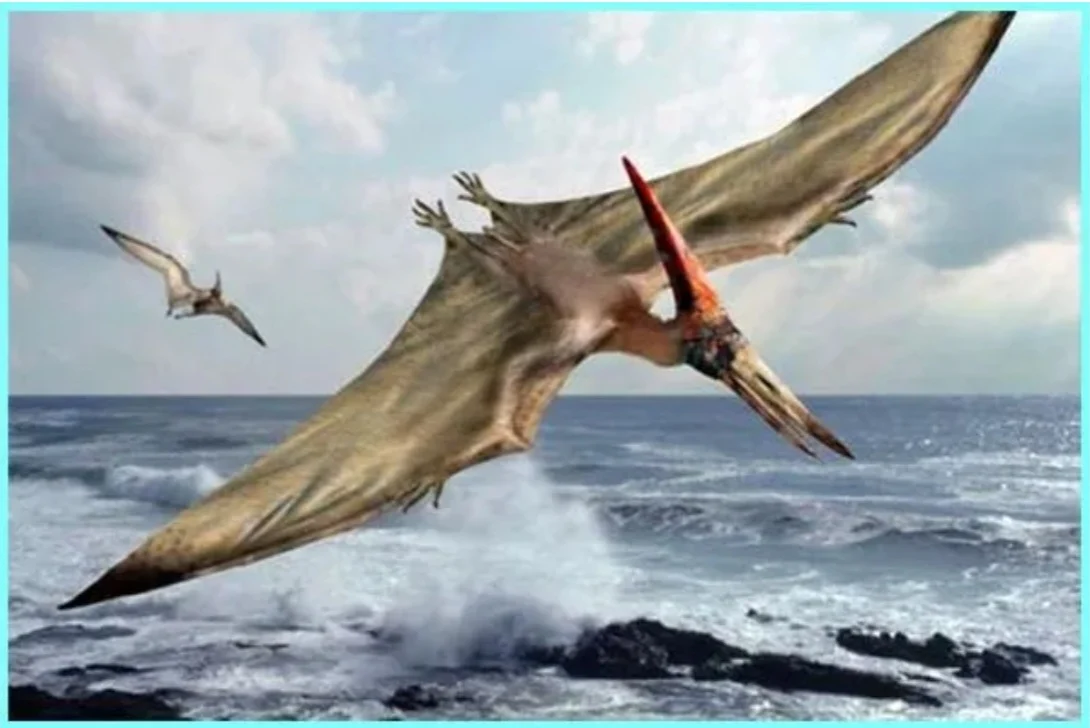 Dinosaurus Terbang: Pterosaurus dan Kriteria Mereka