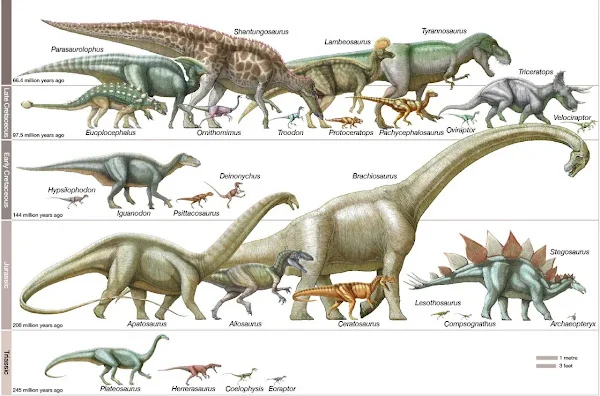 Evolusi Dinosaurus dari Masa Trias hingga Cretaceous