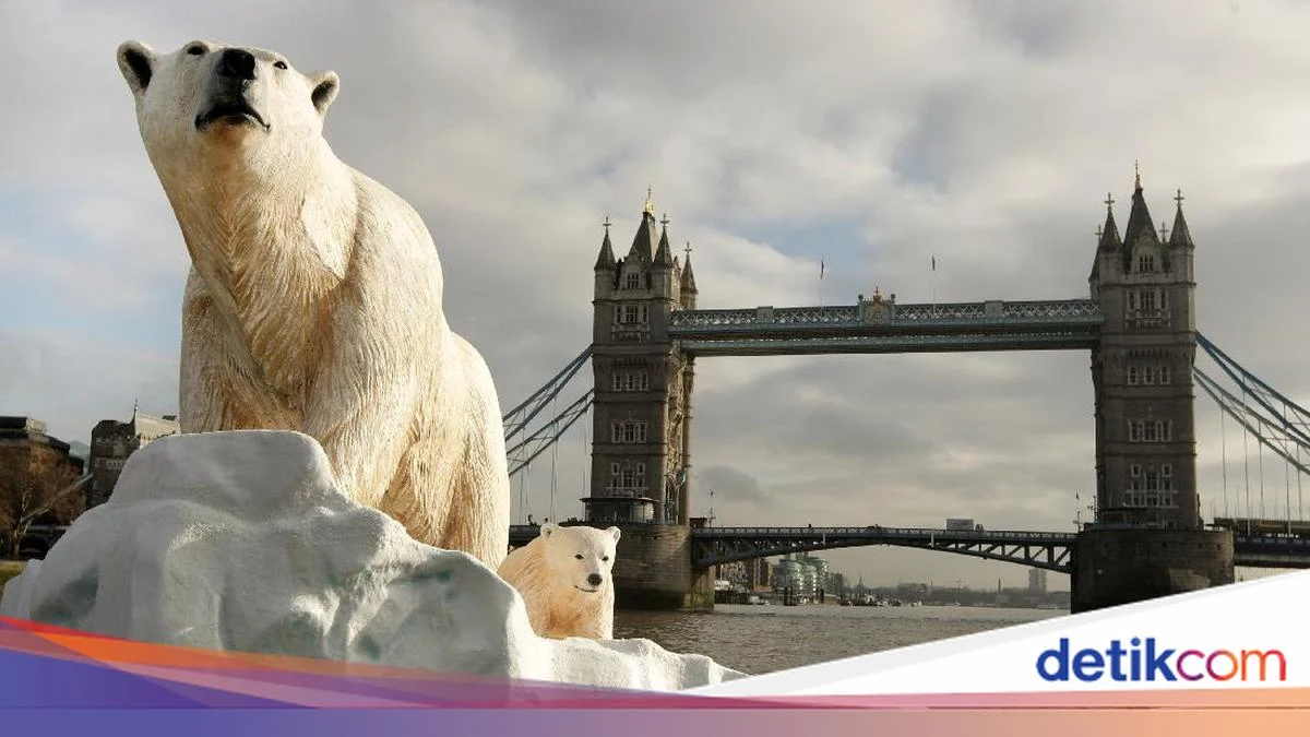 Hewan yang Paling Terpengaruh oleh Perubahan Iklim