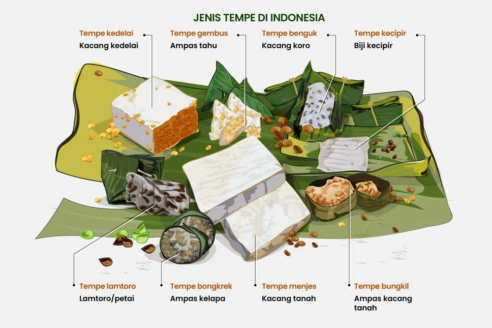 Jenis Jenis Tempe di Indonesia