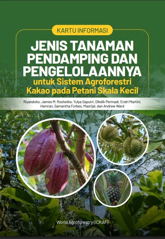 Manfaat Agroforestri Kakao untuk Petani Kecil