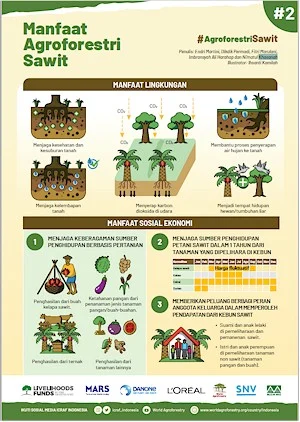 Manfaat Agroforestri Sawit
