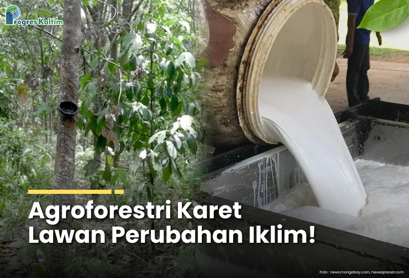Manfaat Agroforestry dalam Mitigasi Perubahan Iklim