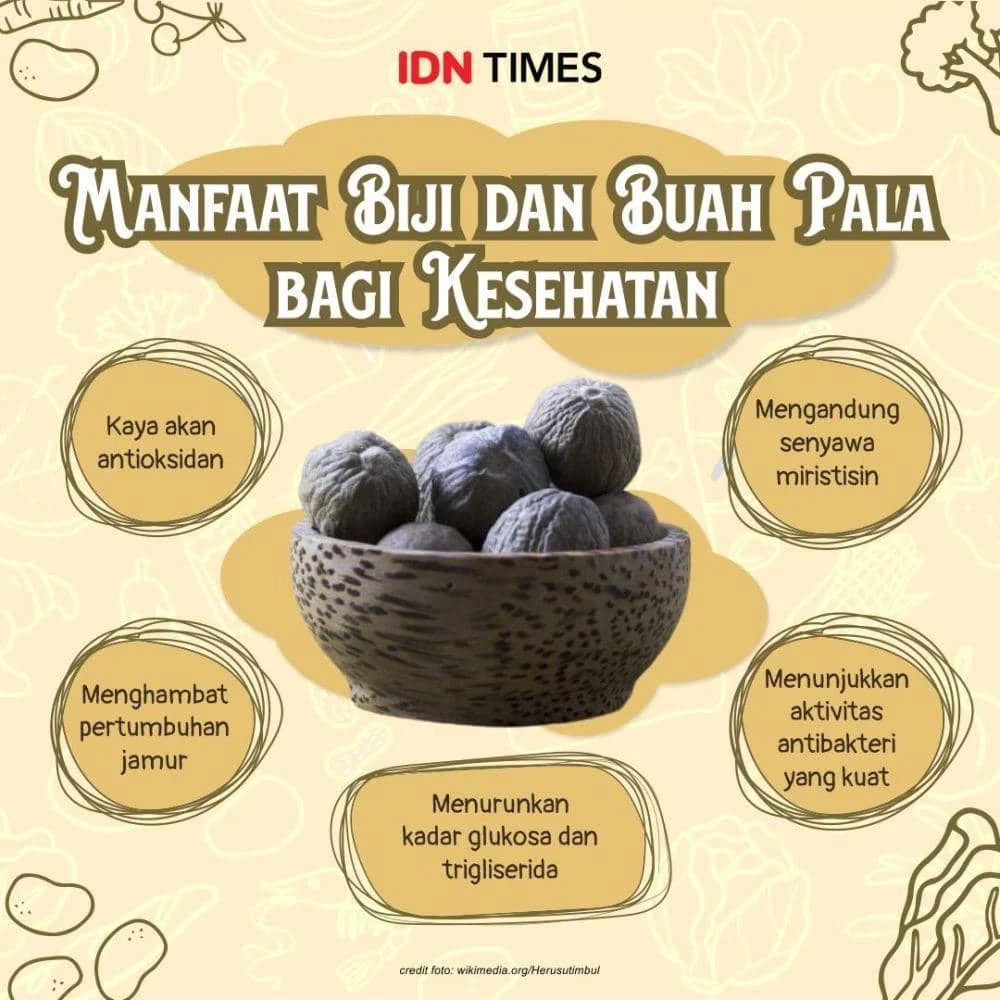 Manfaat Pala dalam Kesehatan