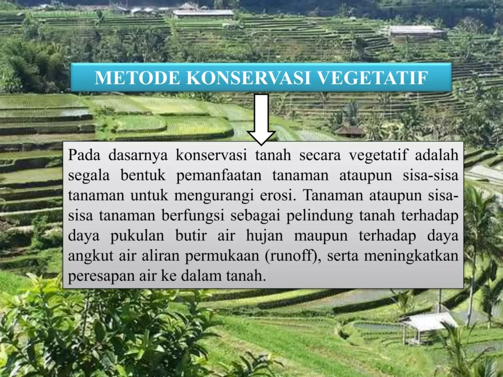 Metode Konservasi Air di Lahan Sawah