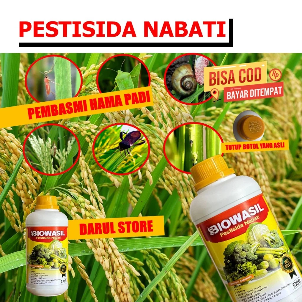 Pengendalian Hama Padi dengan Pestisida