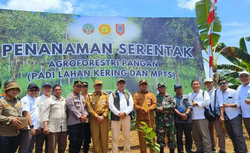 Penggunaan Agroforestry untuk Meningkatkan Ketahanan Sawit