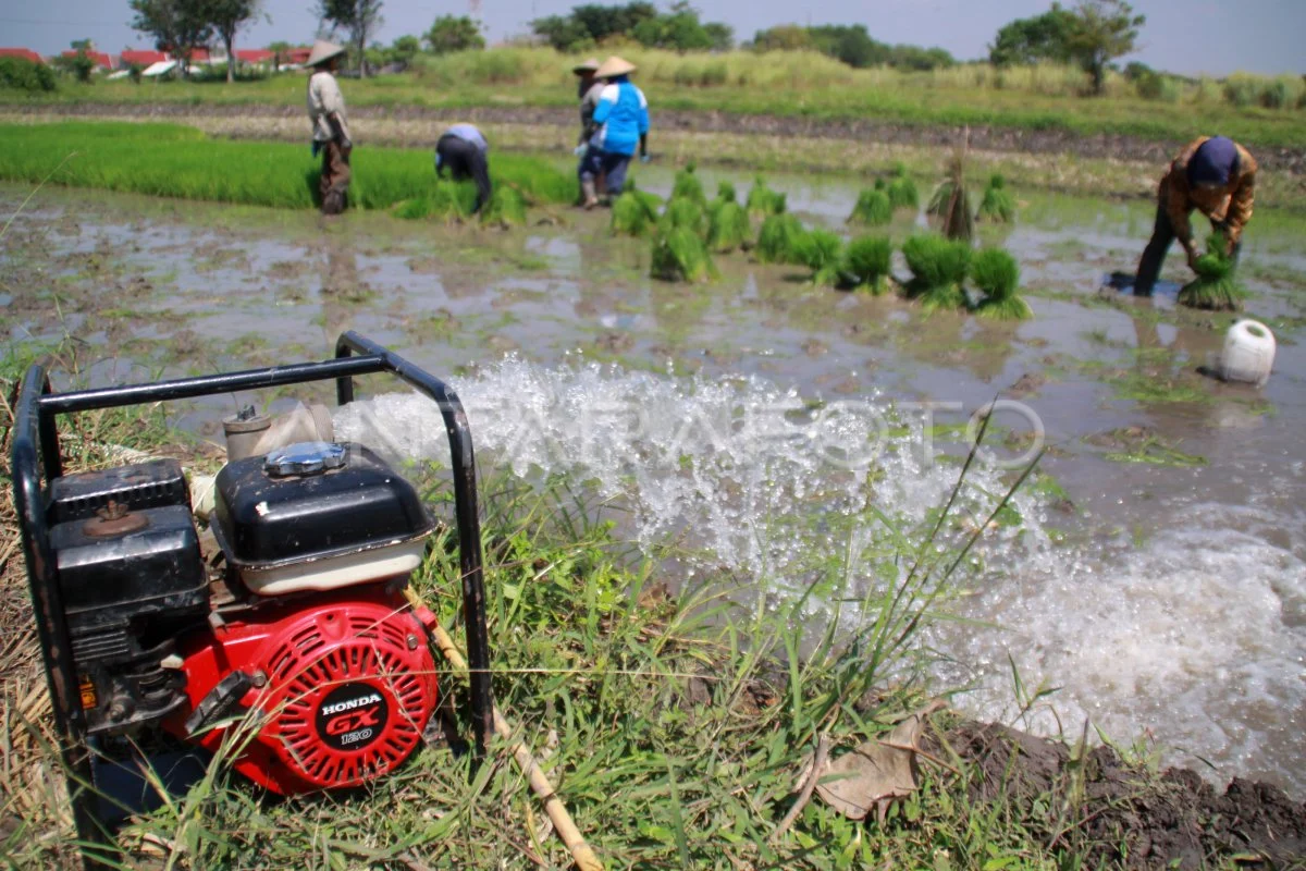 Penggunaan Air Sawah yang Bijak dalam Pertanian