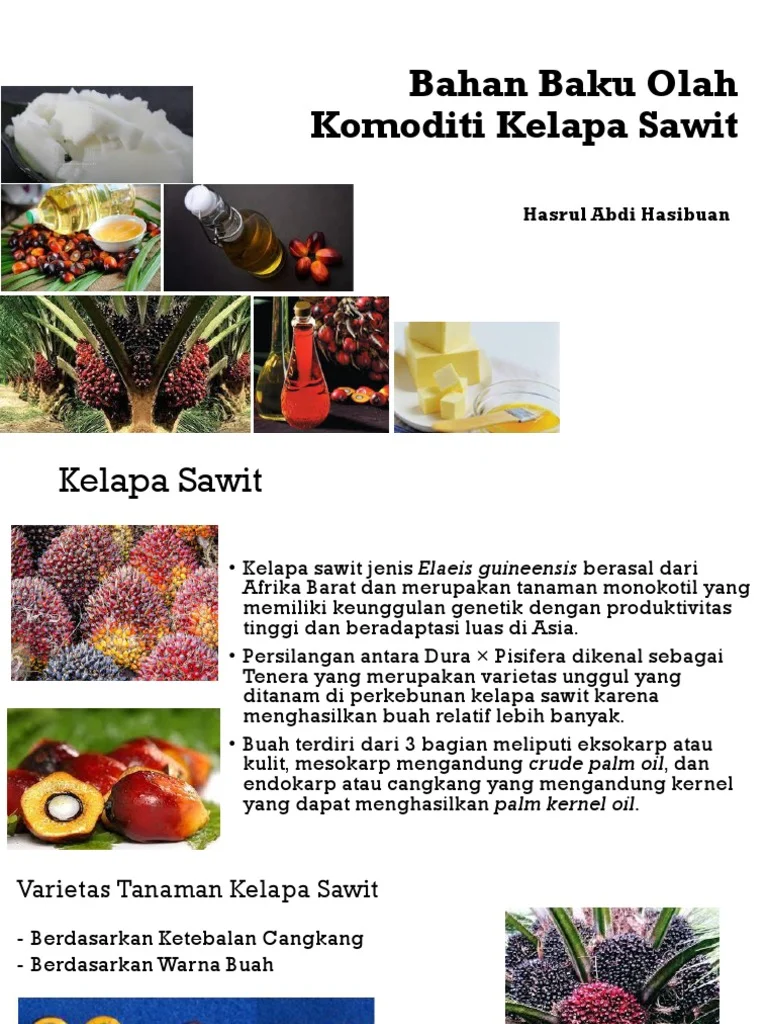 Penggunaan Varietas Tahan Kekeringan pada Kelapa Sawit: Manfaat dan Kelebihan