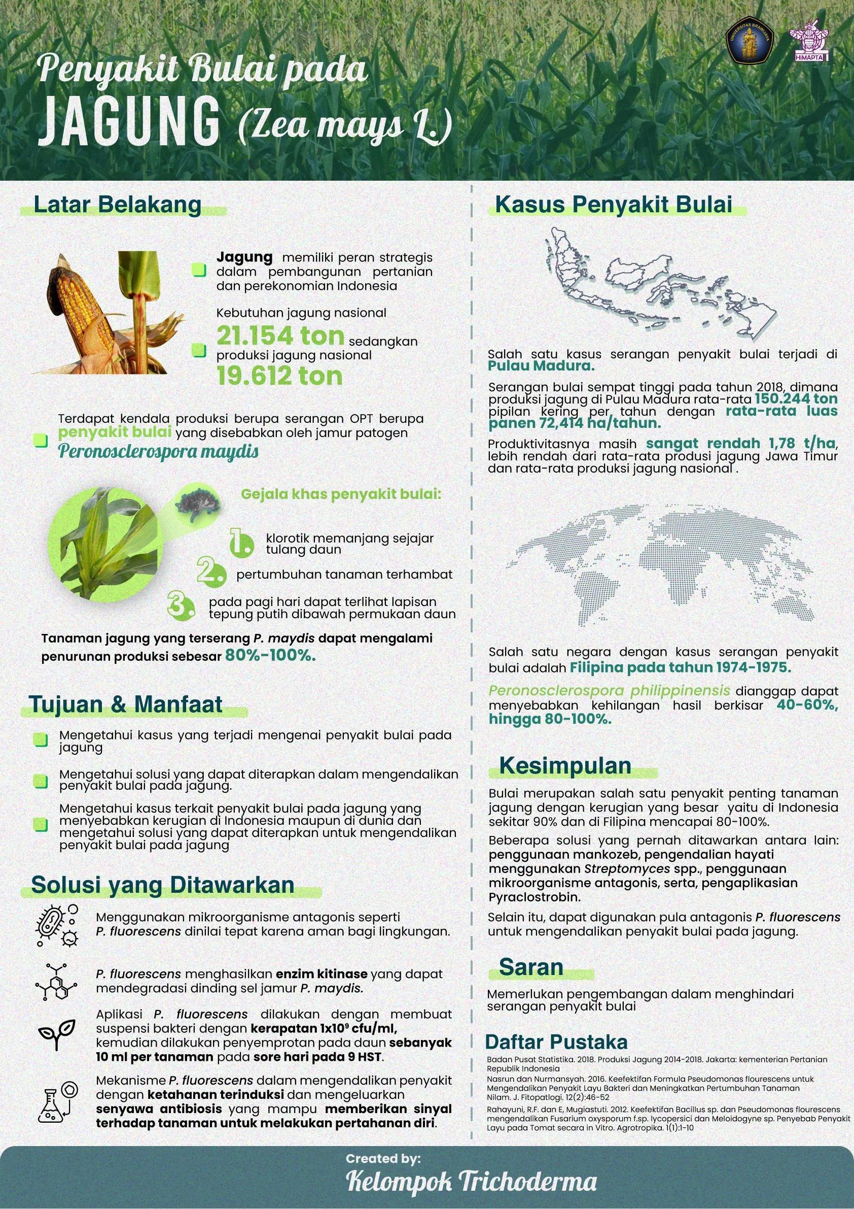 Penyakit Tanaman Jagung