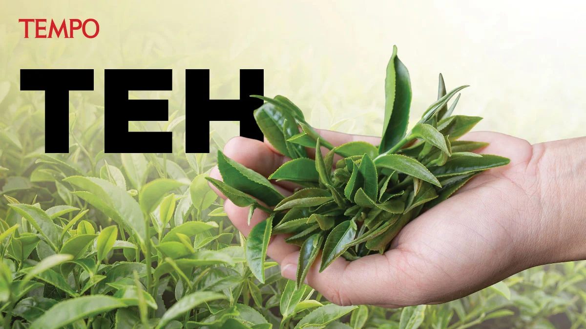 Peran Teh dalam Ekonomi Perdagangan Dunia