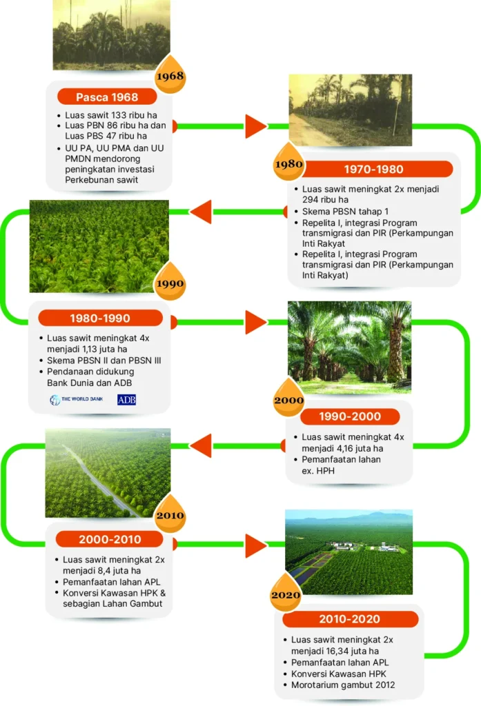 Perkembangan Industri Sawit di Indonesia: Sejarah dan Tren