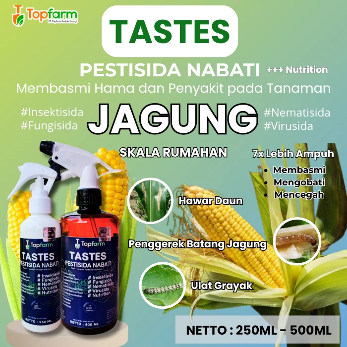 Pestisida untuk Hama Tanaman Jagung: Jenis dan Cara Penggunaan