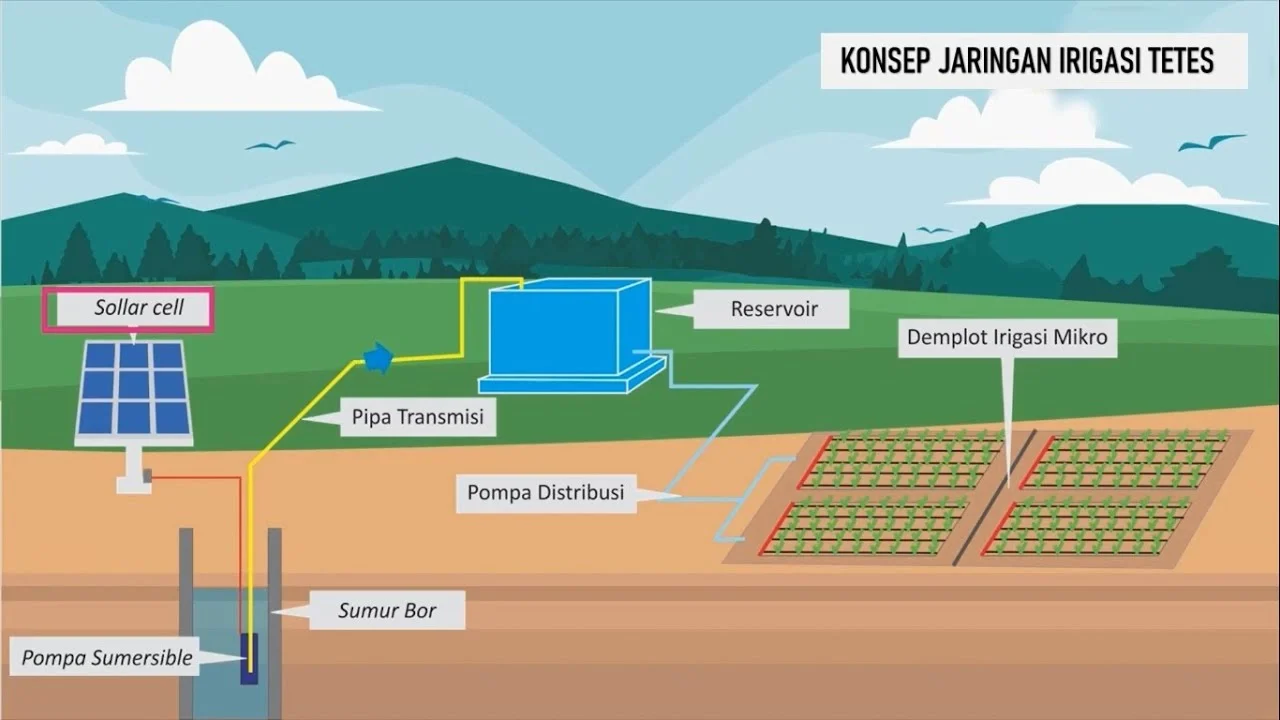 Prinsip Dasar Teknik Irigasi Hemat Air Sawah