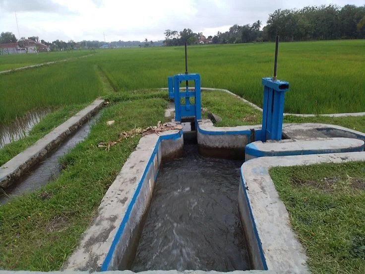 Sistem Konservasi Air di Pertanian Sawah