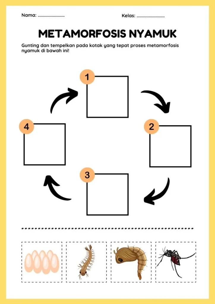 Struktur Cerita Metamorfosis