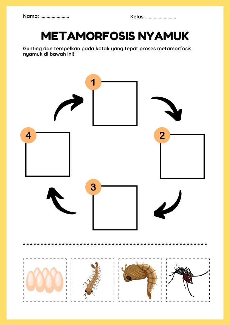 Struktur Cerita Metamorfosis