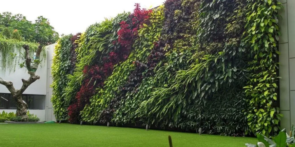 Tanaman untuk Taman Vertikal: Pilihan Terbaik