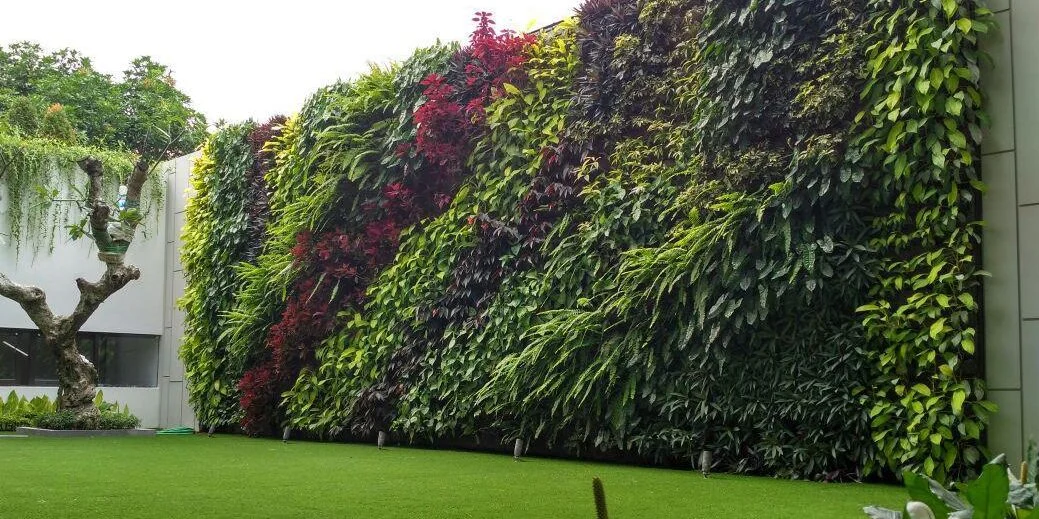 Tanaman untuk Taman Vertikal: Pilihan Terbaik