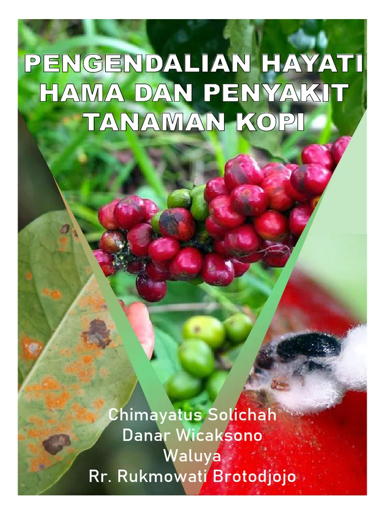Teknik Pengendalian Hama Kopi Organik
