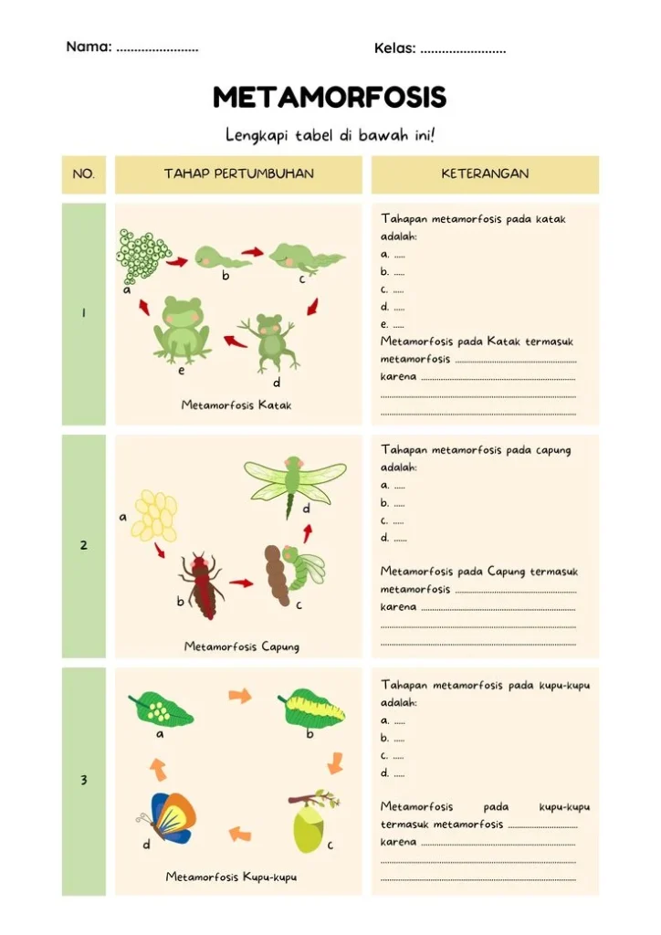 Tema Alienasi dalam Metamorfosis