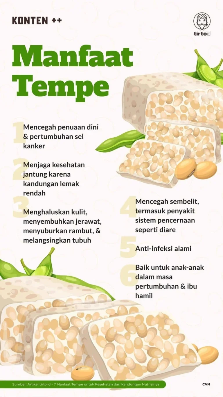 Tempe Sebagai Sumber Protein